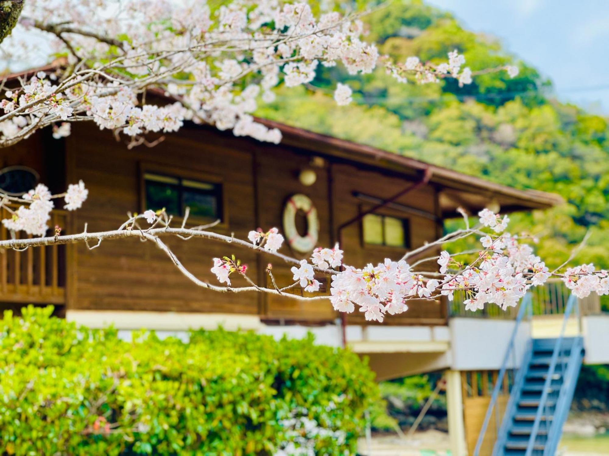 Pension Shishikui Extérieur photo