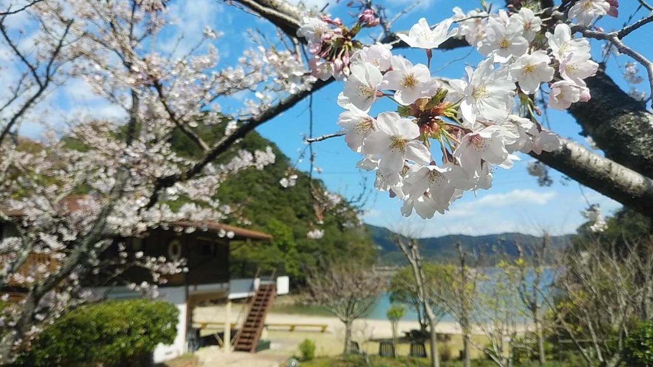 Pension Shishikui Extérieur photo